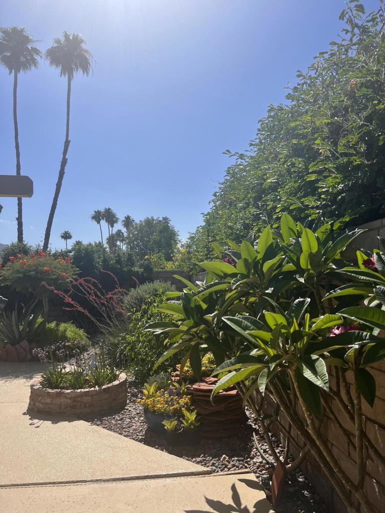 43235 Silk Tree Lane