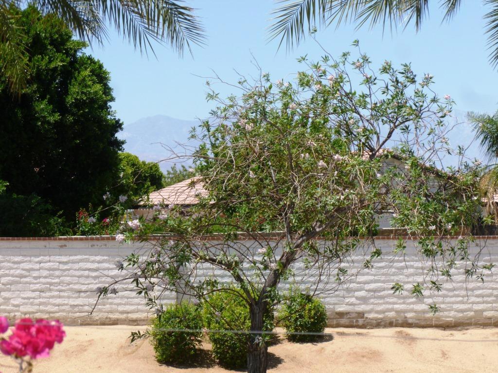 84136 Ave 44, #428 428