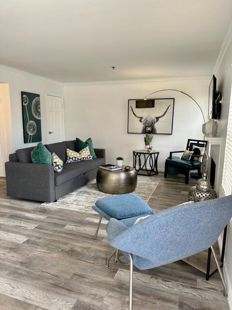 43376 Cook Street 156