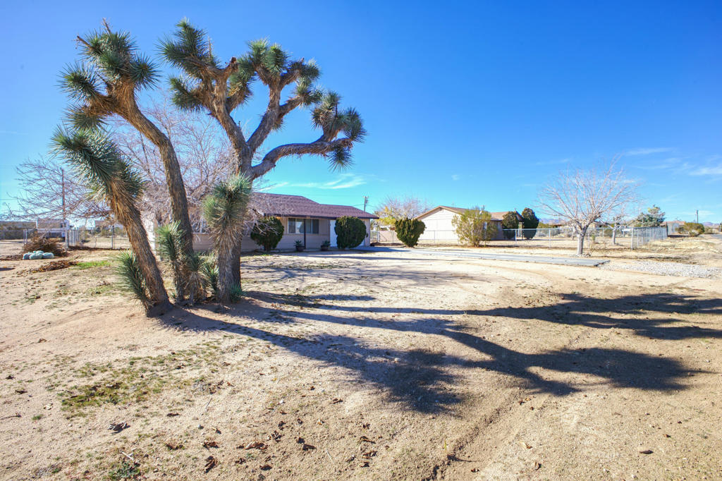 58257 Caliente Street