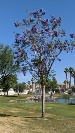 84136 Ave 44, 765 765