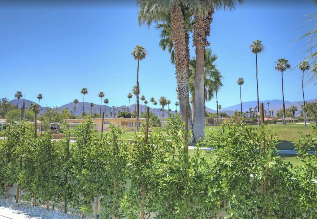 73475 Ironwood Street