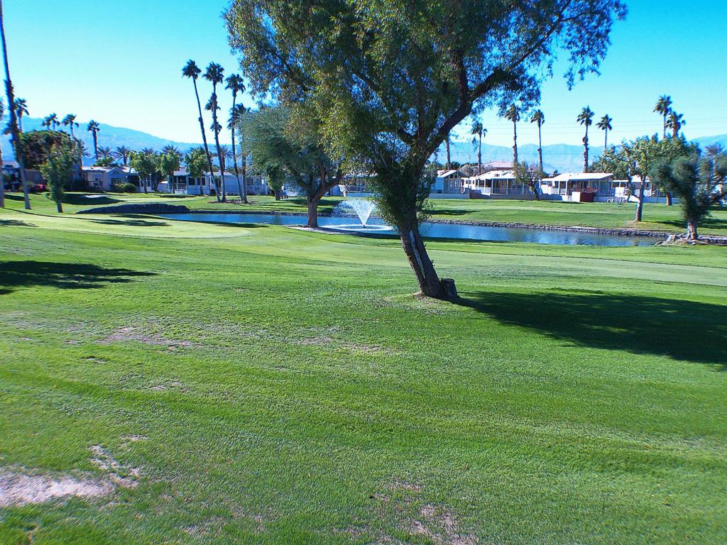 84136 Ave 44, #274 274