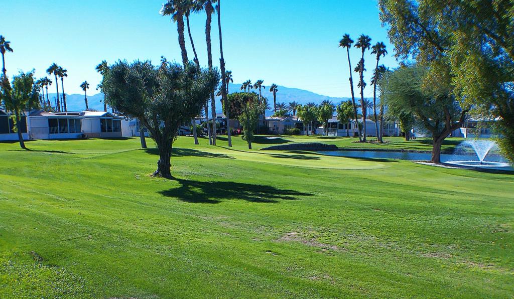 84136 Ave 44, #274 274