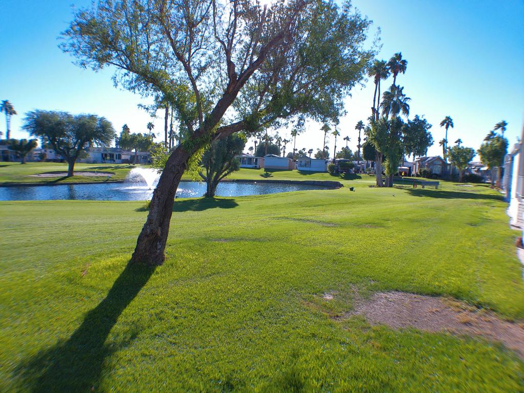 84136 Ave 44, #338 338