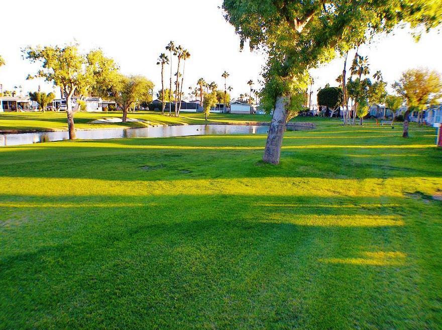 84136 Ave 44, #338 338