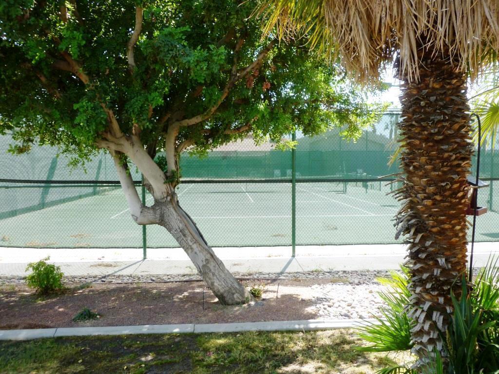 84136 Ave 44, #481 481