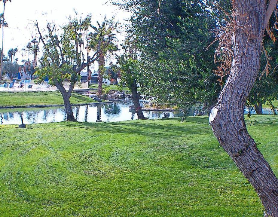 84136 Ave 44, #772 772