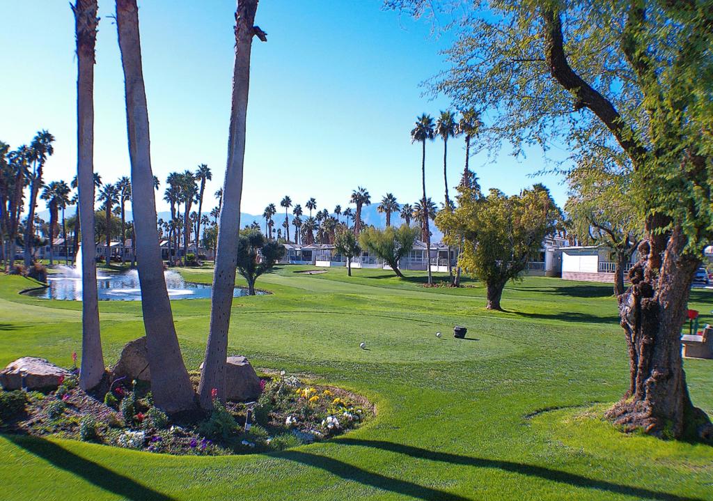 84136 Ave 44, #465 465