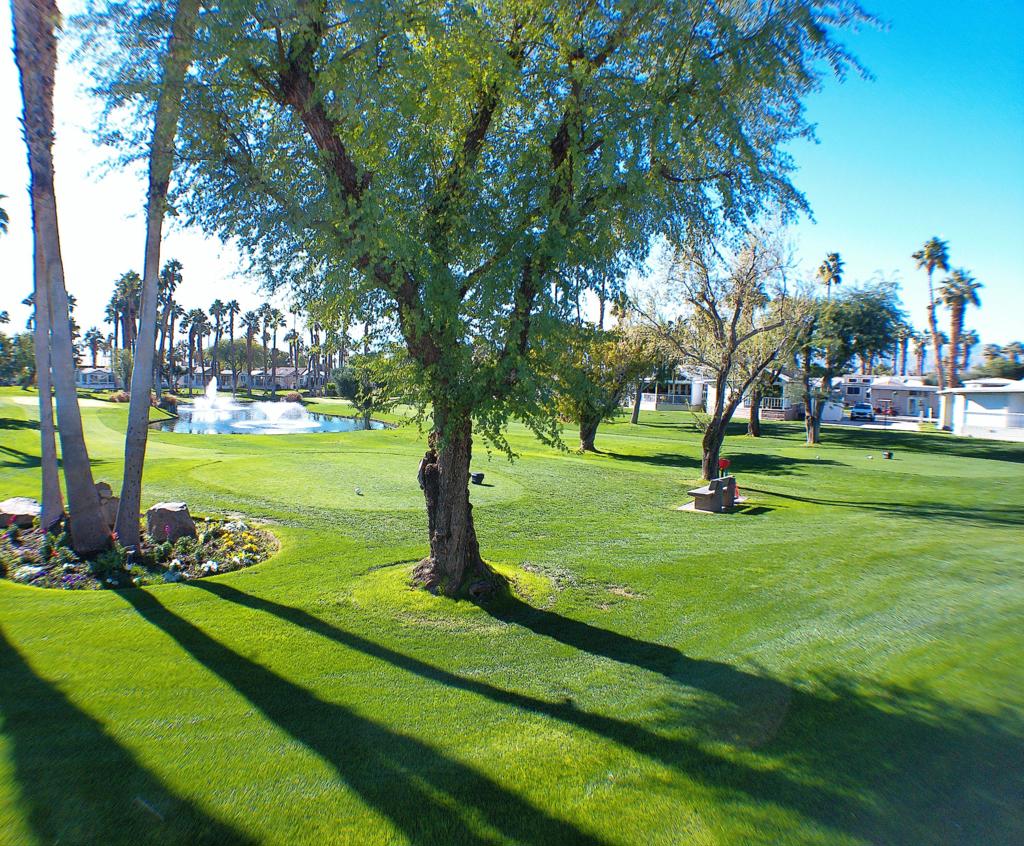 84136 Ave 44, #465 465