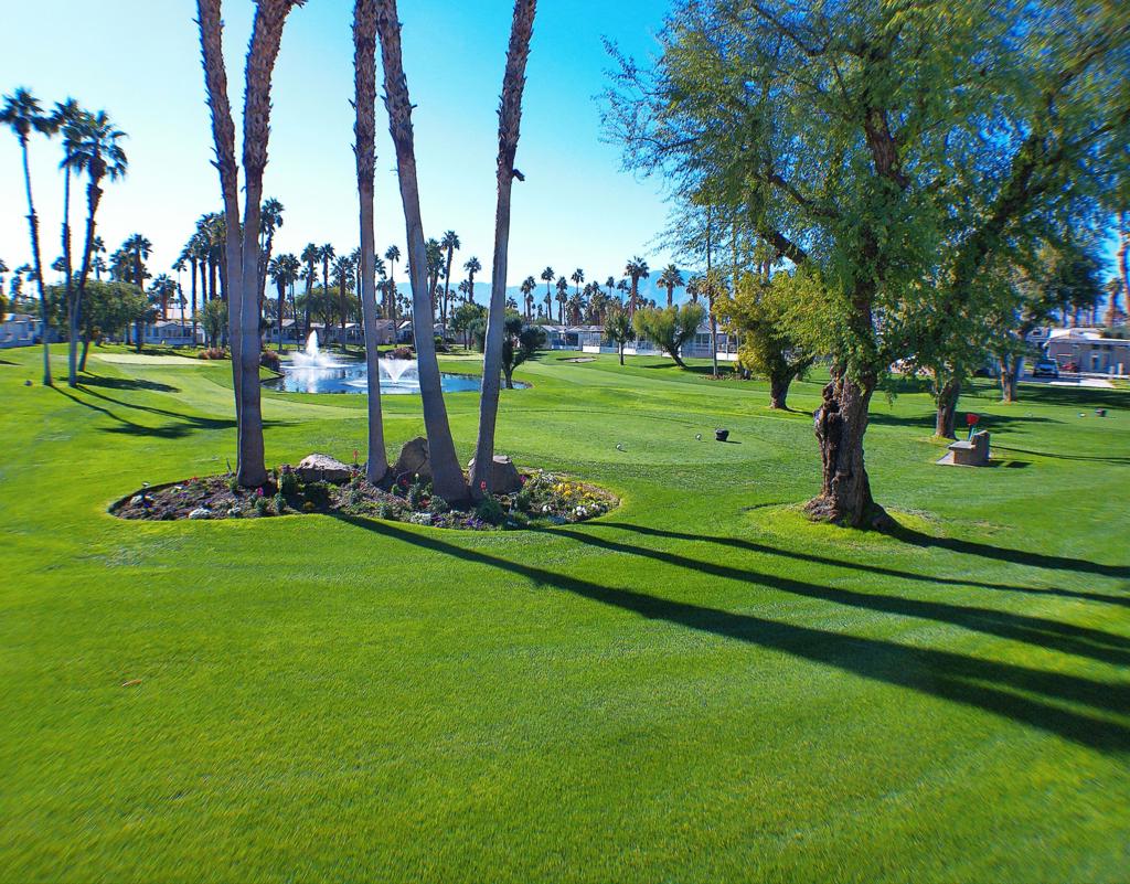 84136 Ave 44, #465 465