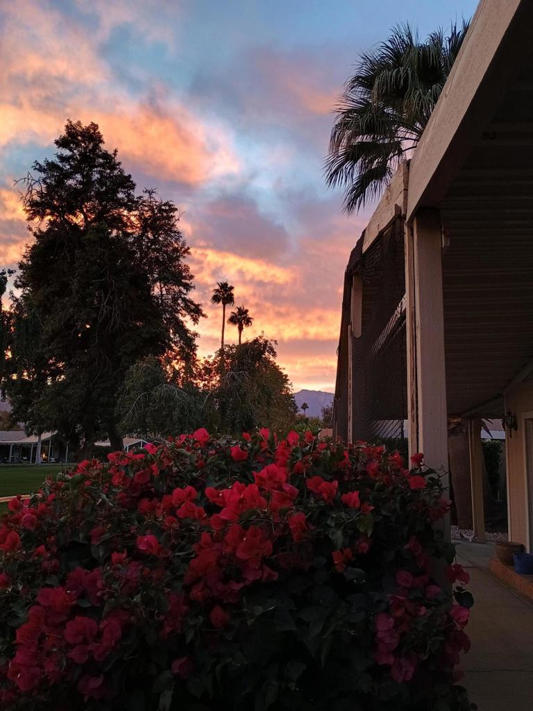 73450 Country Club Drive 229