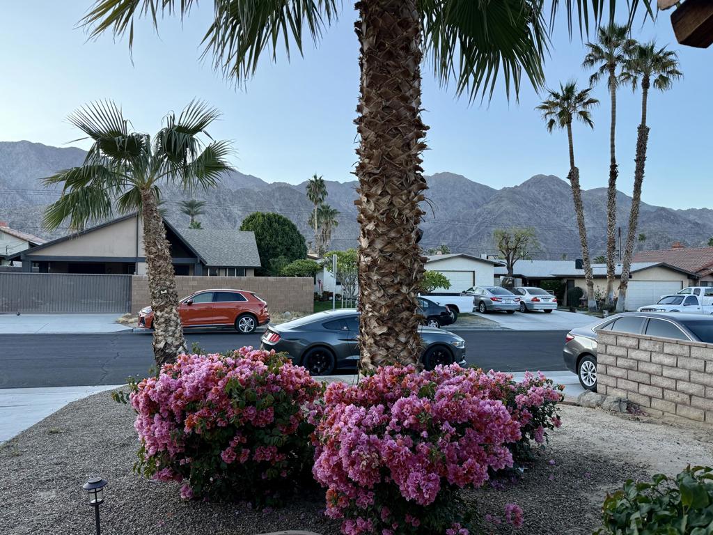 52110 Avenida Martinez