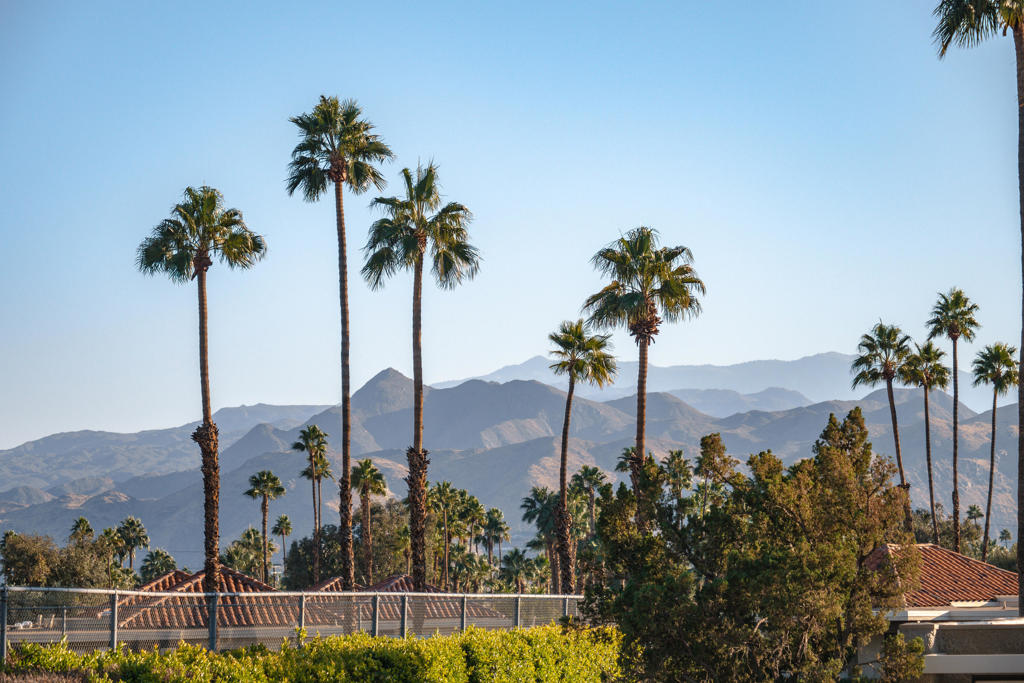 830 N Calle De Mimosas