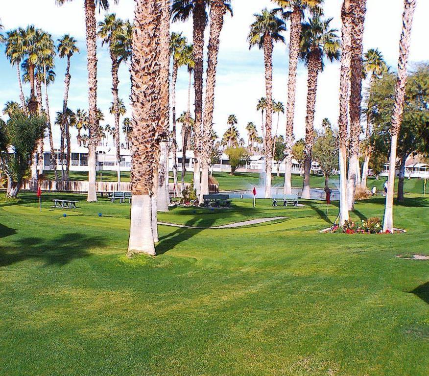 84136 Ave 44, #788 788