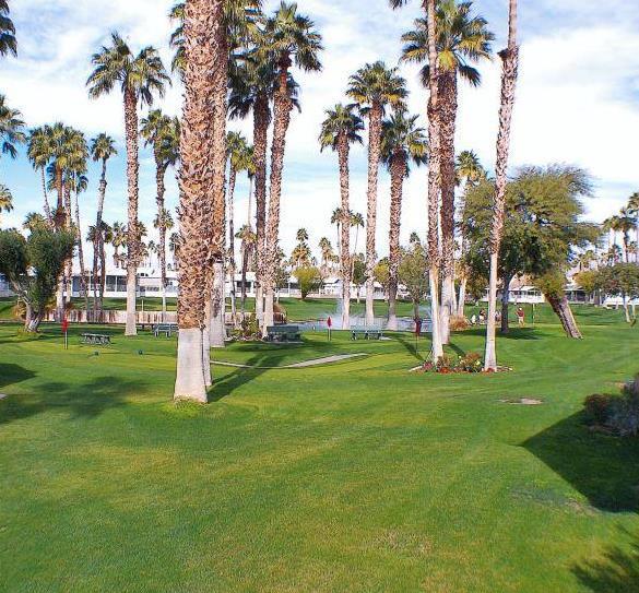 84136 Ave 44, #788 788