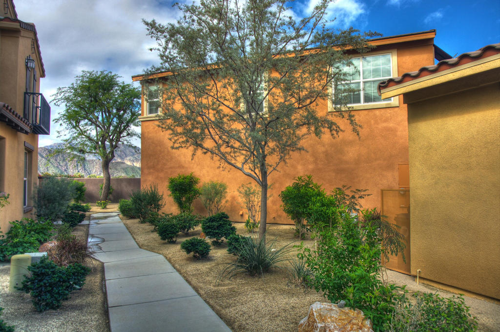 52165 Desert Spoon Court