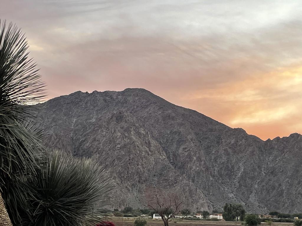 52165 Desert Spoon Court