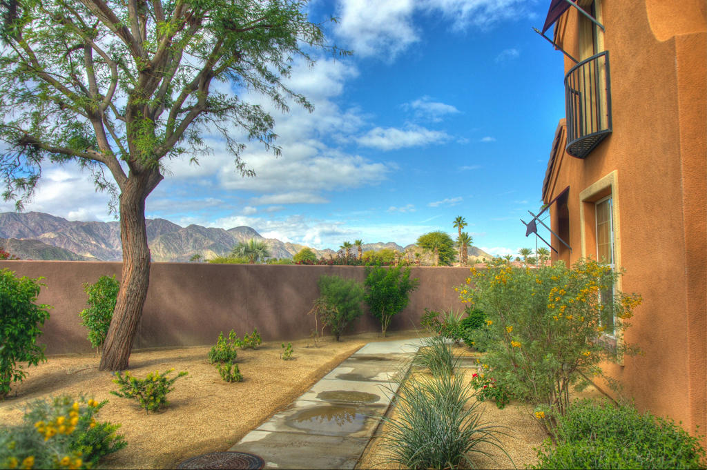 52165 Desert Spoon Court