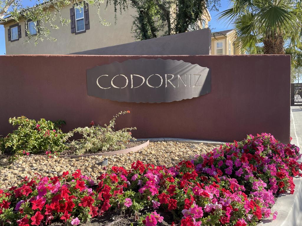 52165 Desert Spoon Court