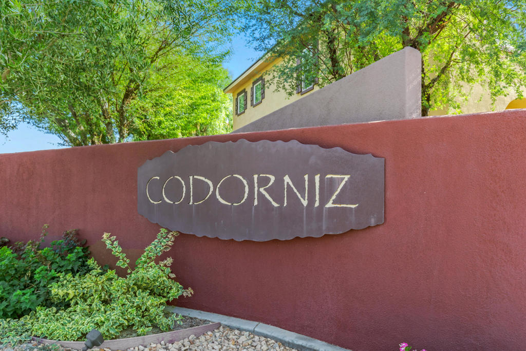 52155 Desert Spoon Court