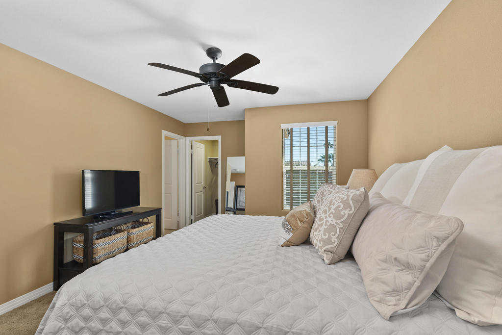 52155 Desert Spoon Court