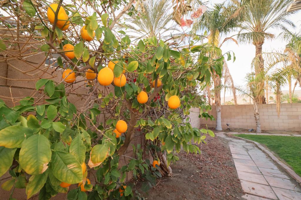 69910 Northhampton Avenue