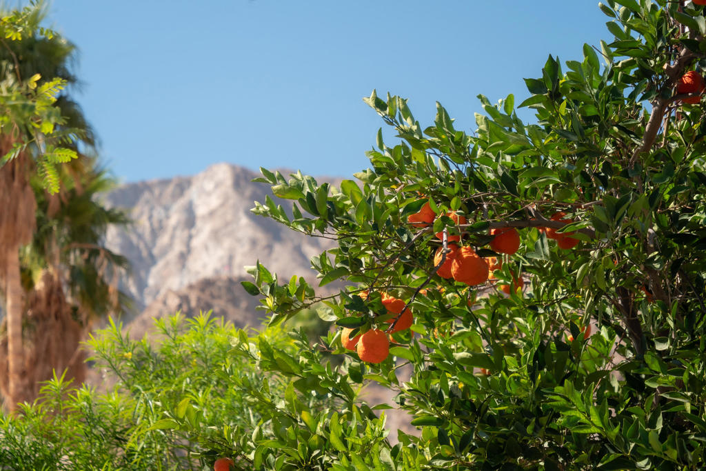 52045 Avenida Carranza