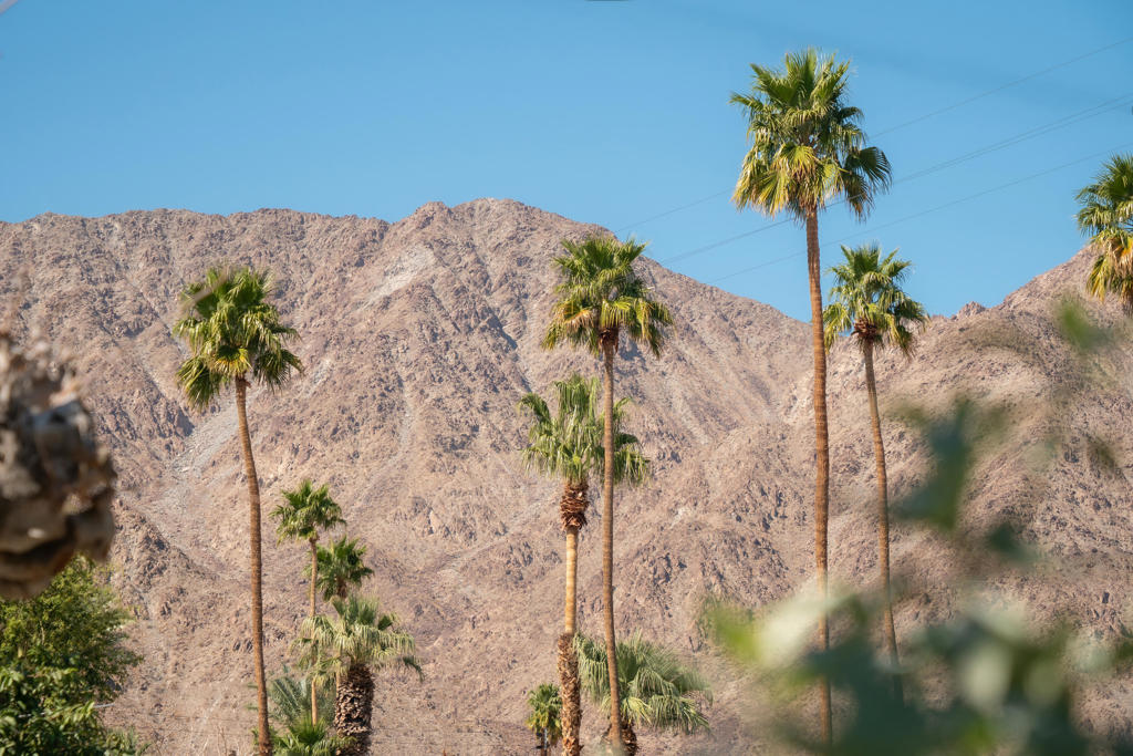 52045 Avenida Carranza