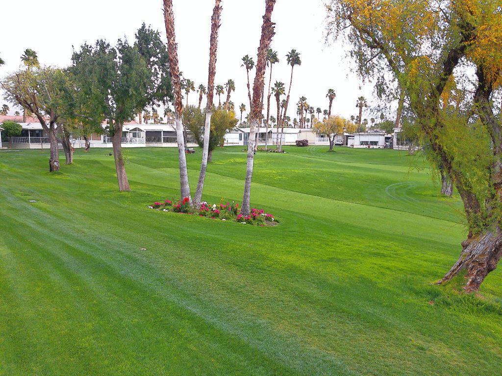 84136 Ave 44, #455 455