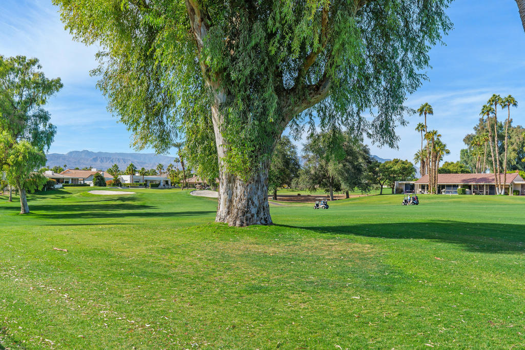 43821 Chapelton Drive