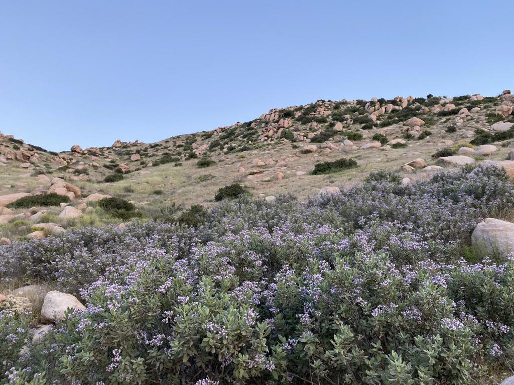 Na Apn# 543190009 (1.65 Acres)