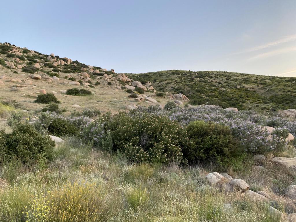 Na Apn# 543190009 (1.65 Acres)