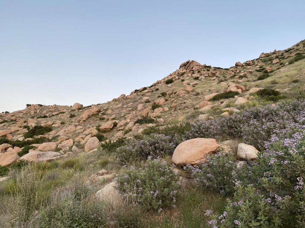 Na Apn# 543190009 (1.65 Acres)