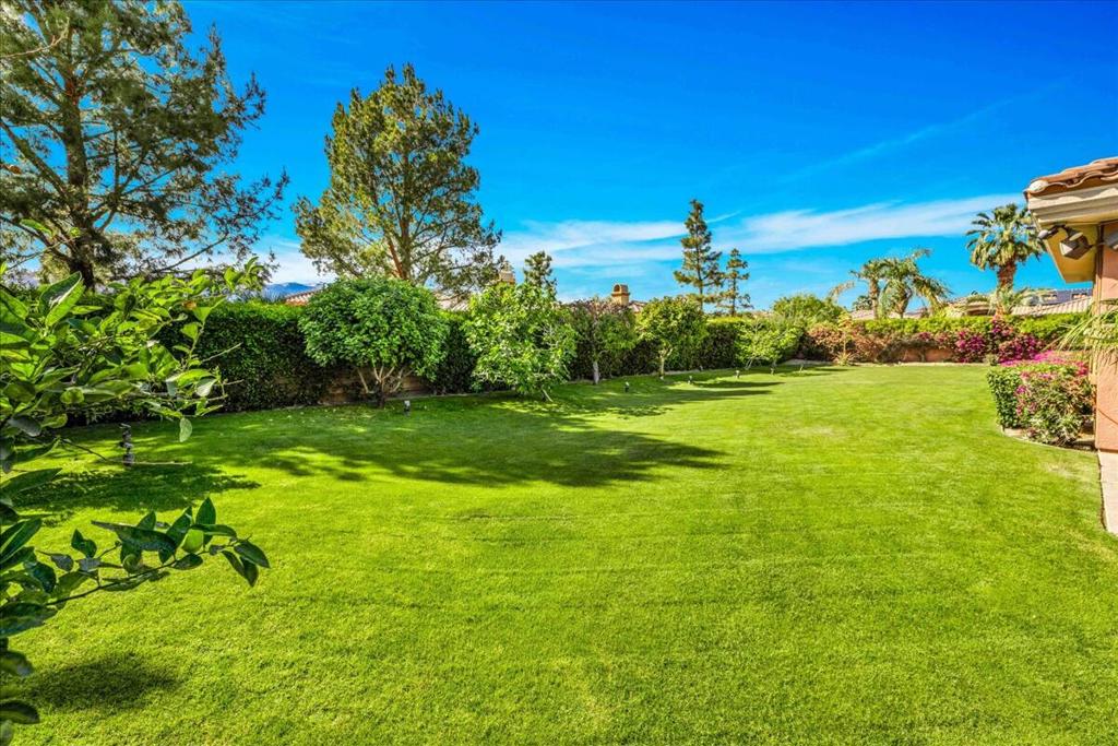 14 Collegiate Circle