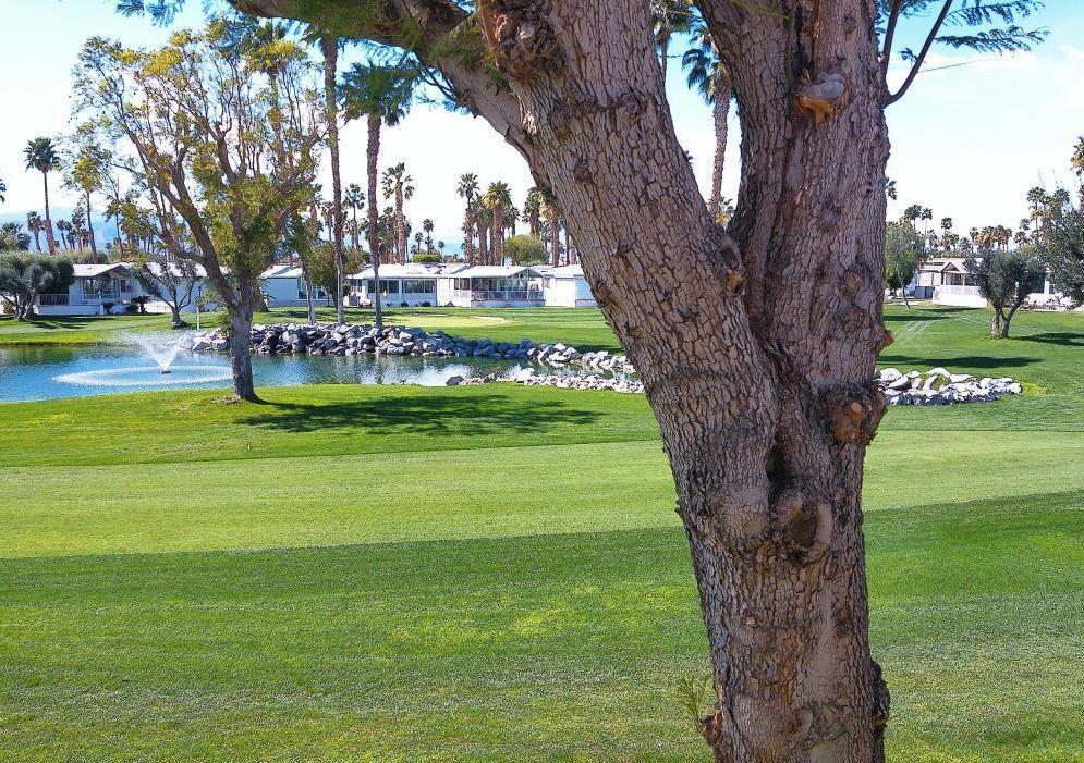 84136 Ave 44, #672 672