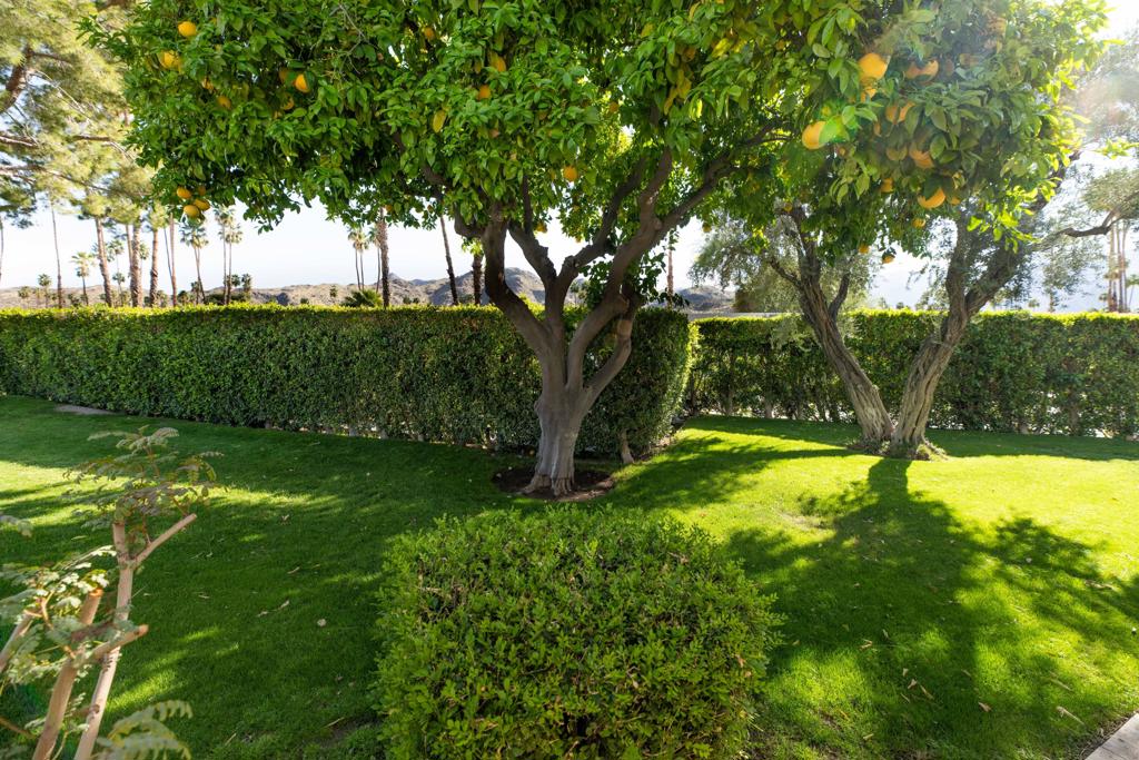 189 Desert Lakes Drive