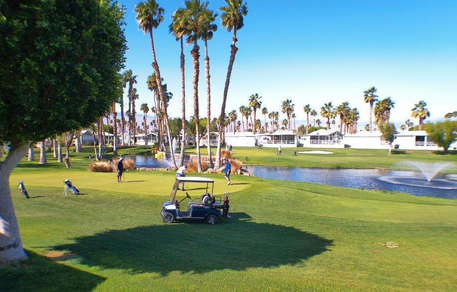 84136 Ave 44, #786 786