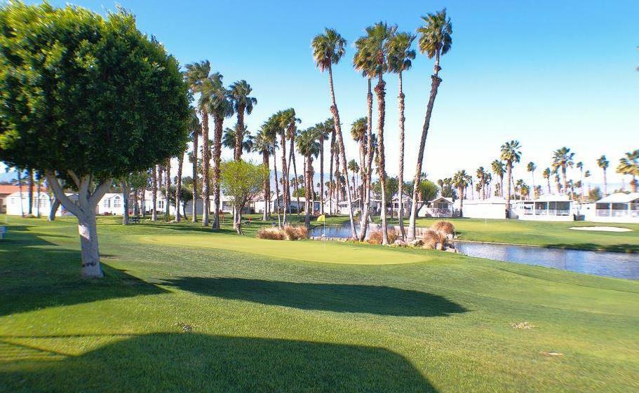 84136 Ave 44, #786 786