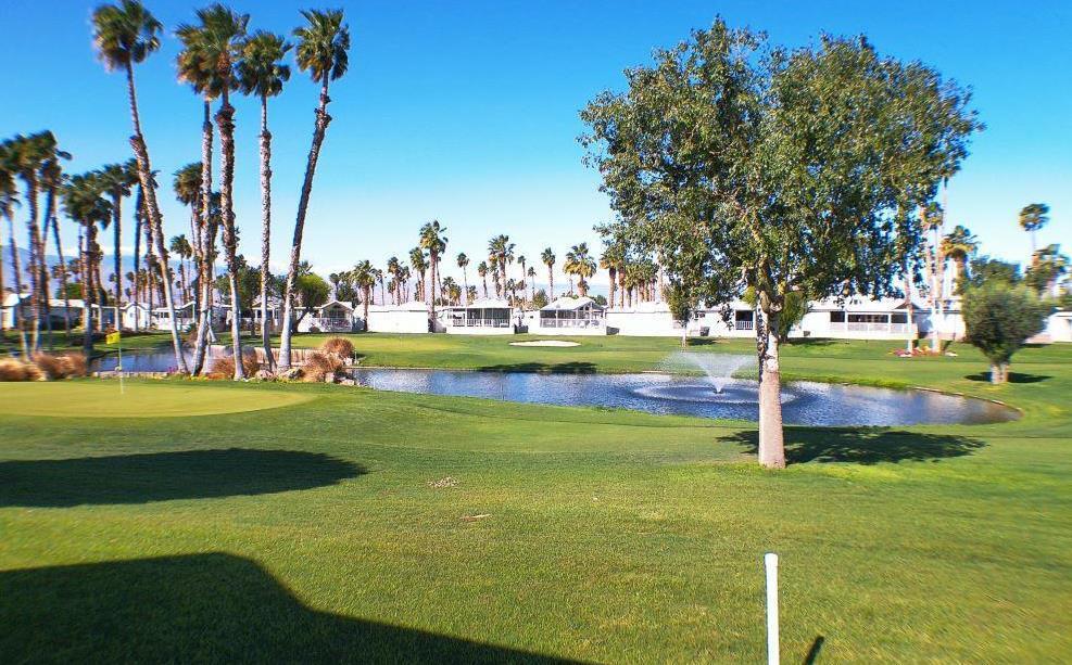 84136 Ave 44, #786 786