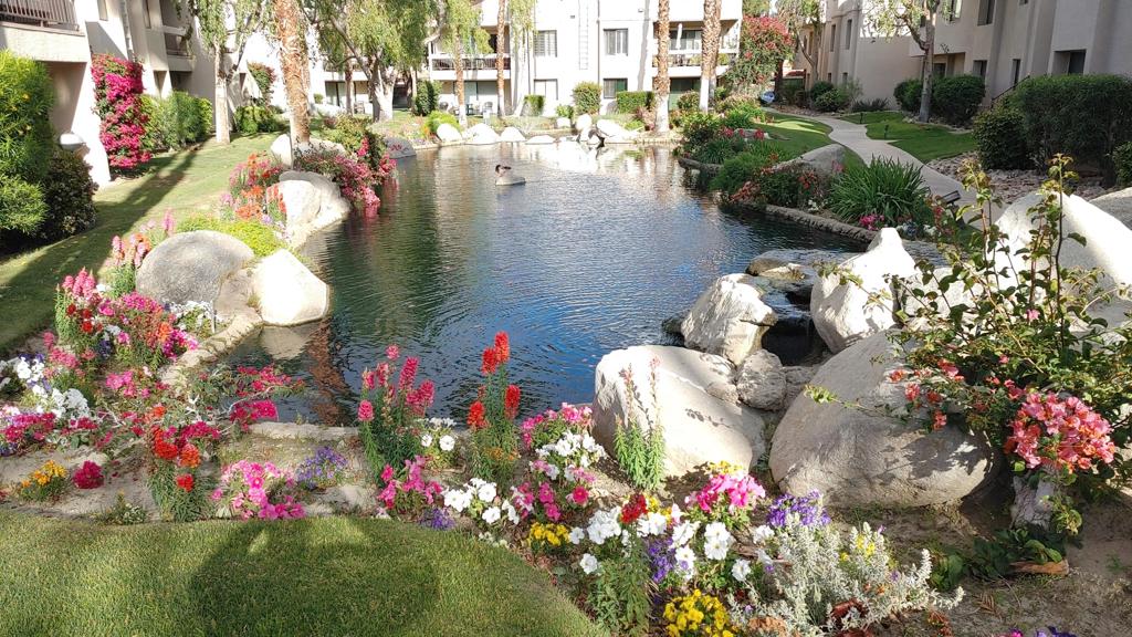 35200 Cathedral Canyon Drive A-7