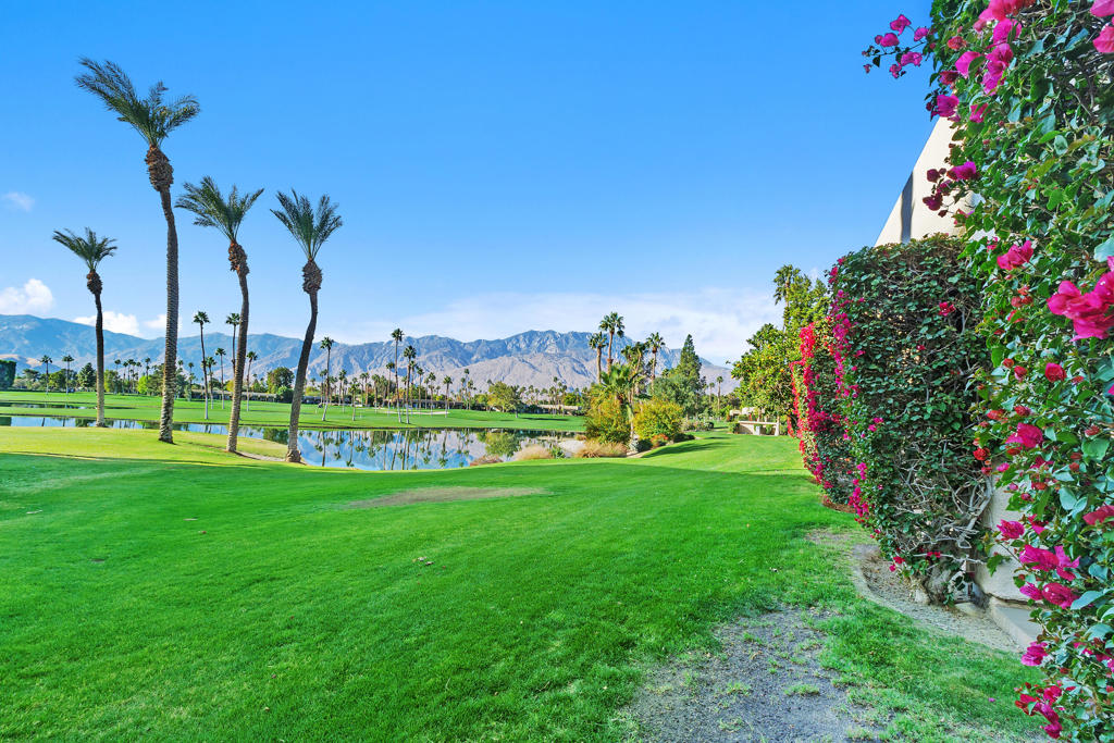 67837 N Portales Drive 245