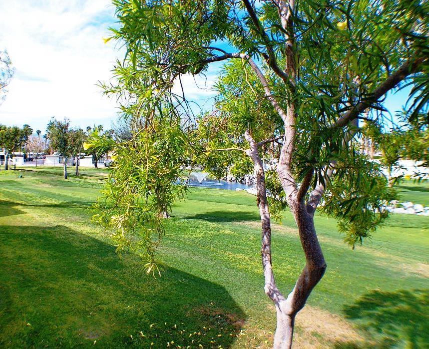 84136 Ave 44, #674 674