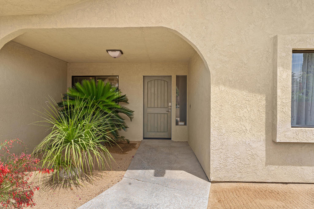 72596 Beavertail Street