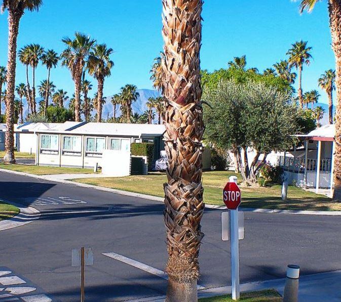 84136 Avenue 44 #602 602