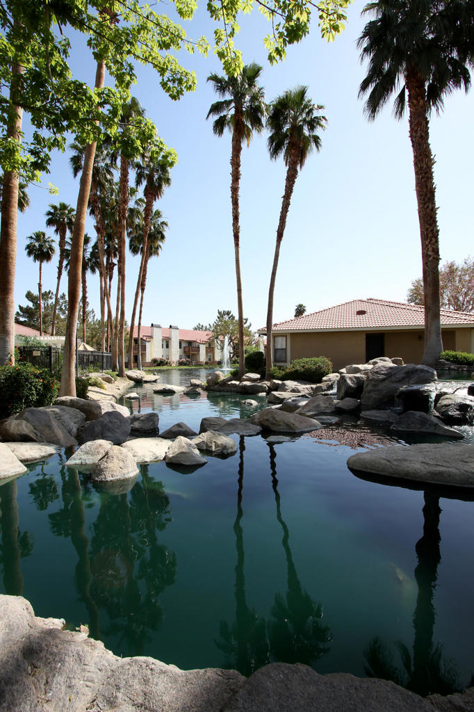 43376 Cook Street 91