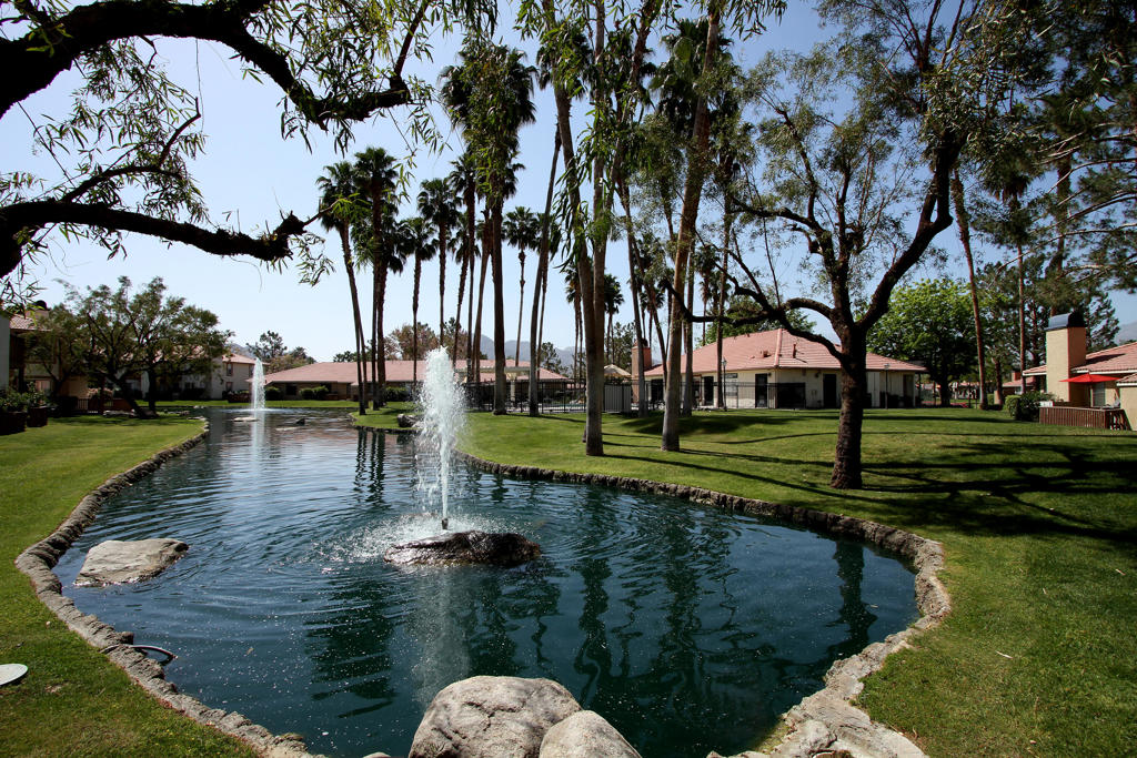 43376 Cook Street 91