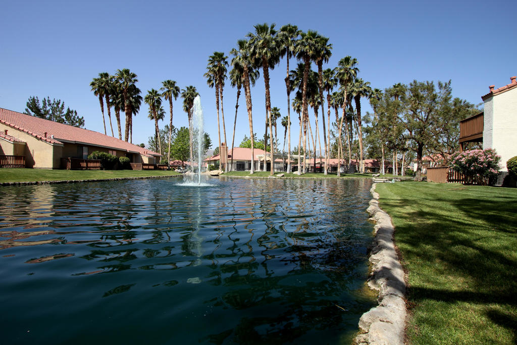 43376 Cook Street 91