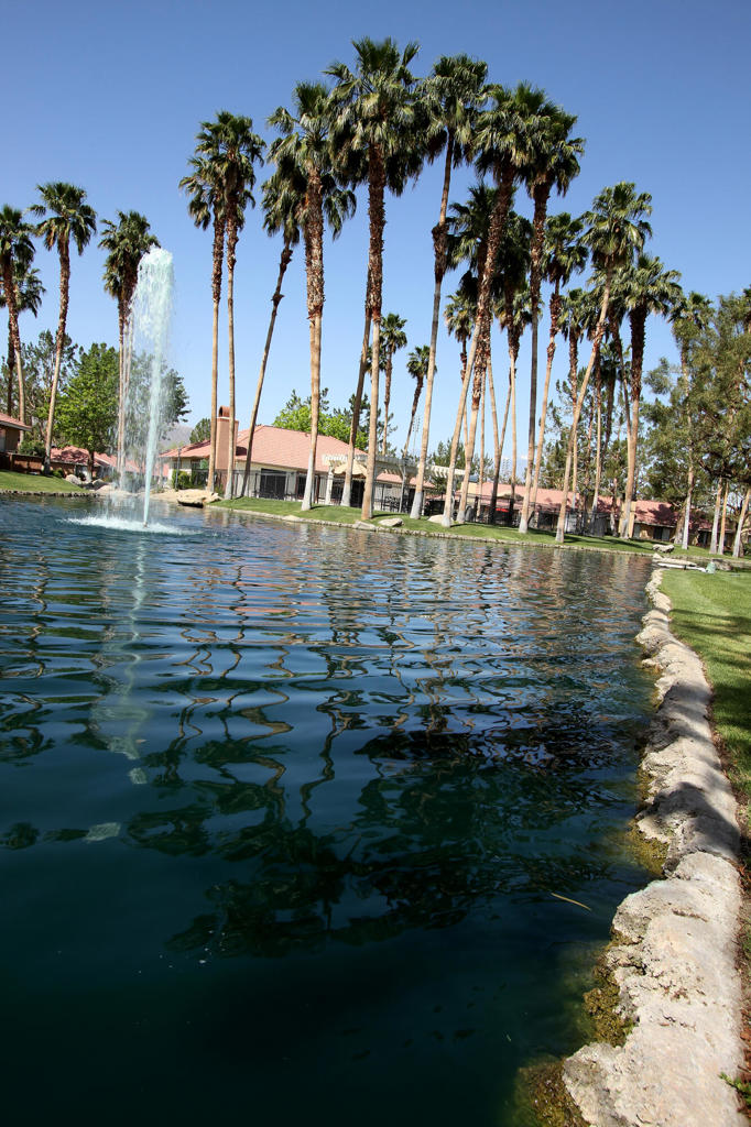 43376 Cook Street 91