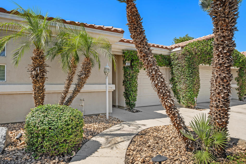77 Clavel Court